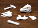 fossilis_fotodetalle08-2a31e206e71025af1117870787485170-640-0.webp