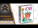 Rat a tat cat