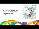 youtube - [Video]